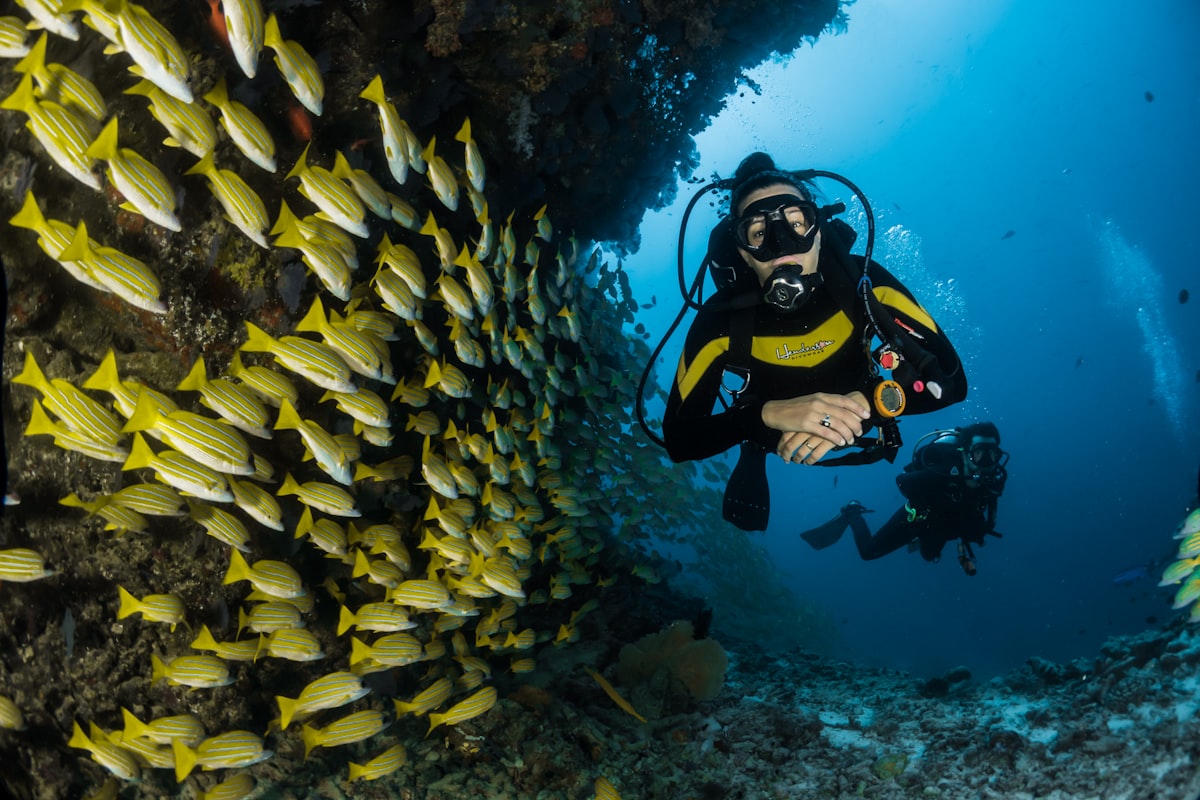 Aquaculture work in a water environment