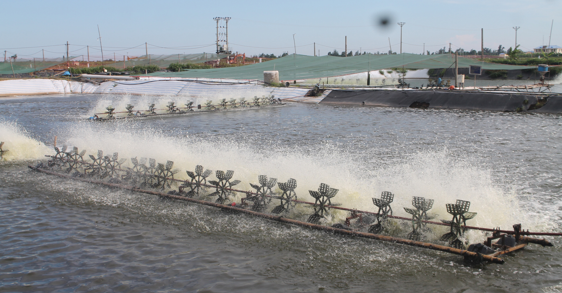 Shrimp farming ponds with aerators representing SKA Aqua Farms